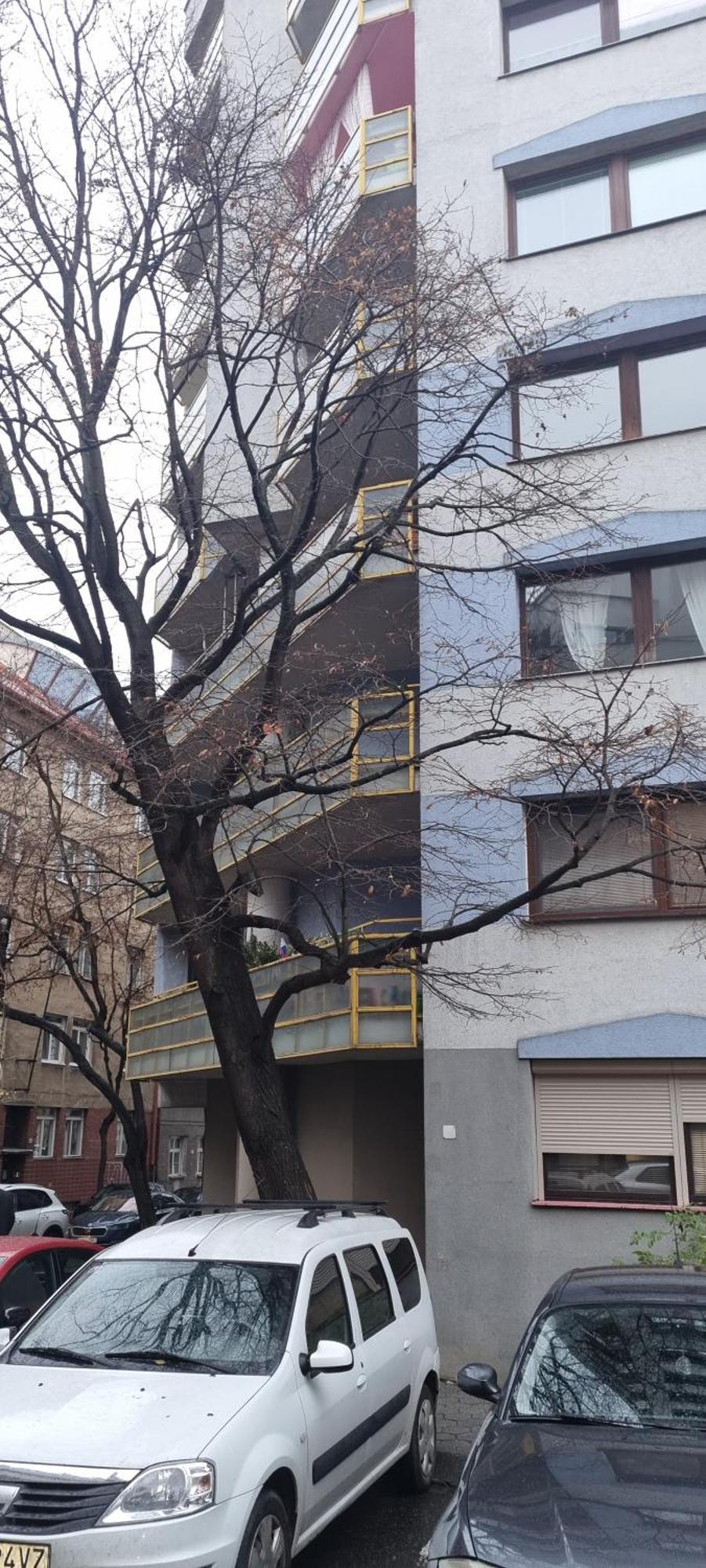 Huge Apartment Next To Train Station Close To The City Center Bratislava Exteriör bild